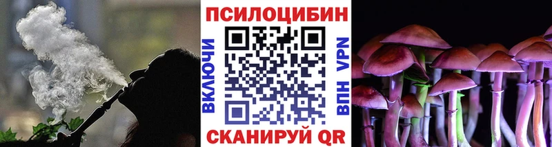 Купить где  Таруса  Псилоцибиновые грибы ЛСД 